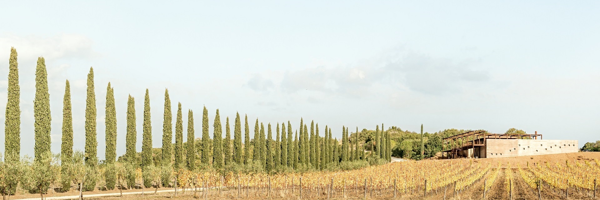 Cantina Cupano