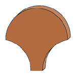 pav06